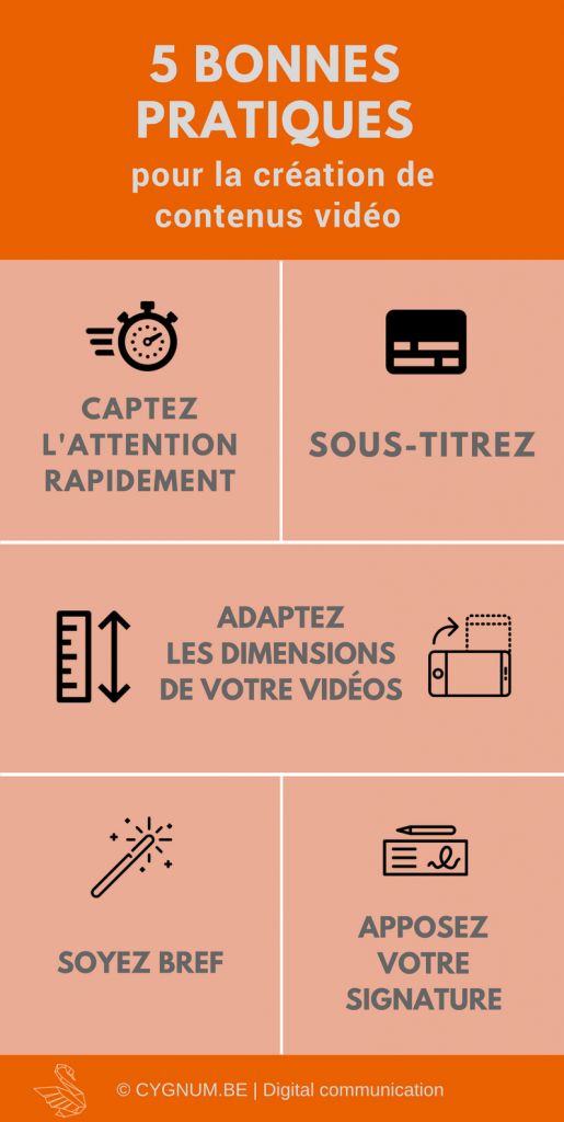 Infographie vidéo webmarketing Infographie vidéo webmarketing