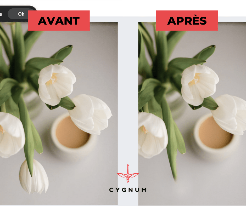 découvrez les dernières fonctionnalités cachées de Canva: la gomme magique 